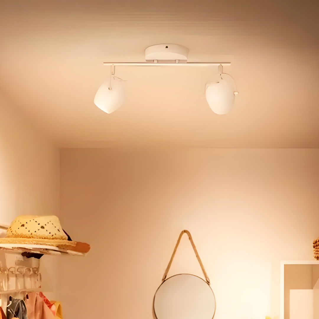 Spot Aplique Techo Doble Foco Philips Riviano