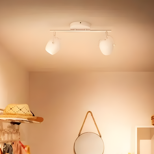 Spot Aplique Techo Doble Foco Philips Riviano